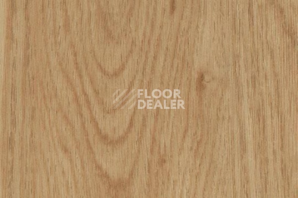 Плитка ПВХ FORBO Allura Click 60065CL5 honey elegant oak фото 1 | FLOORDEALER